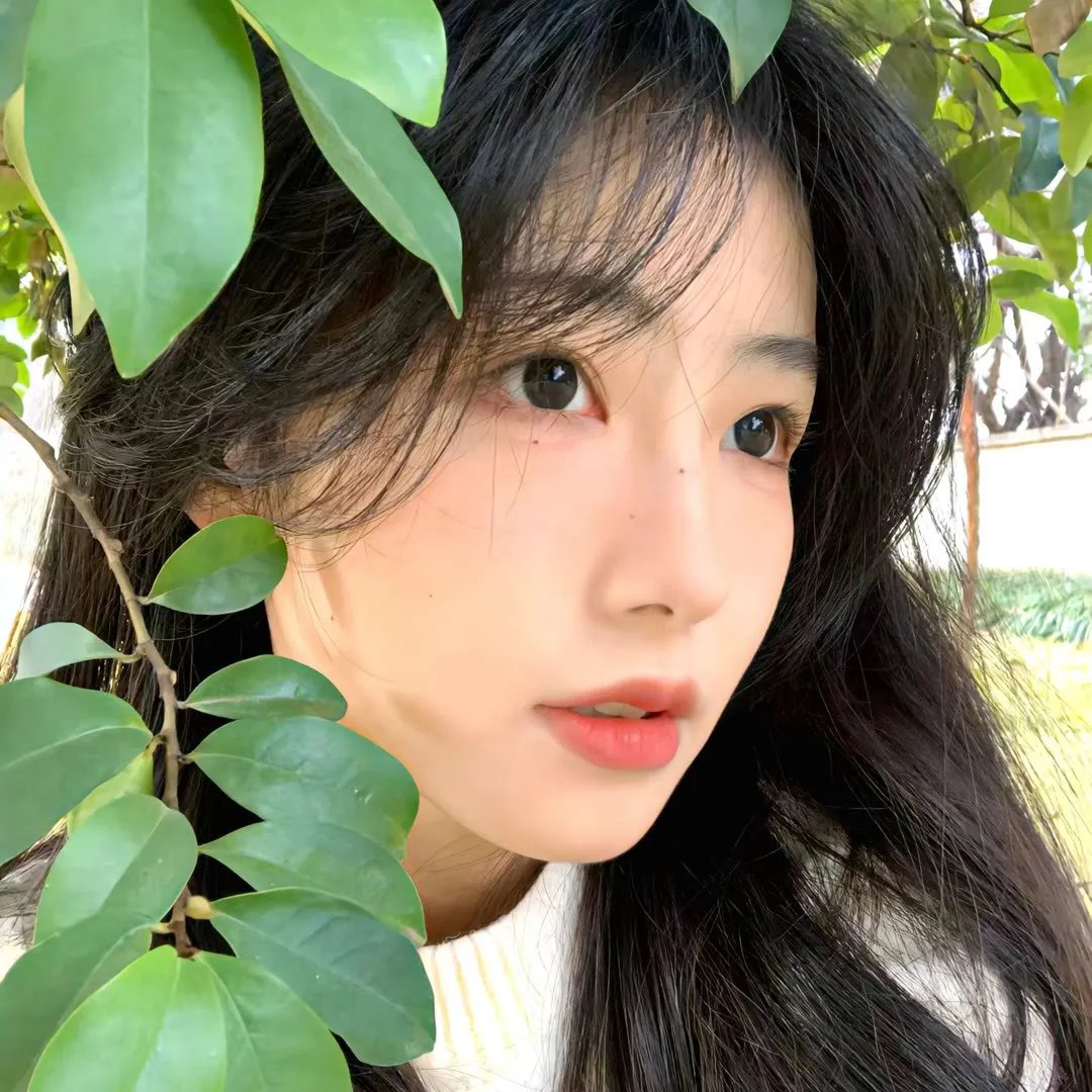 喧闹一家亲第一季